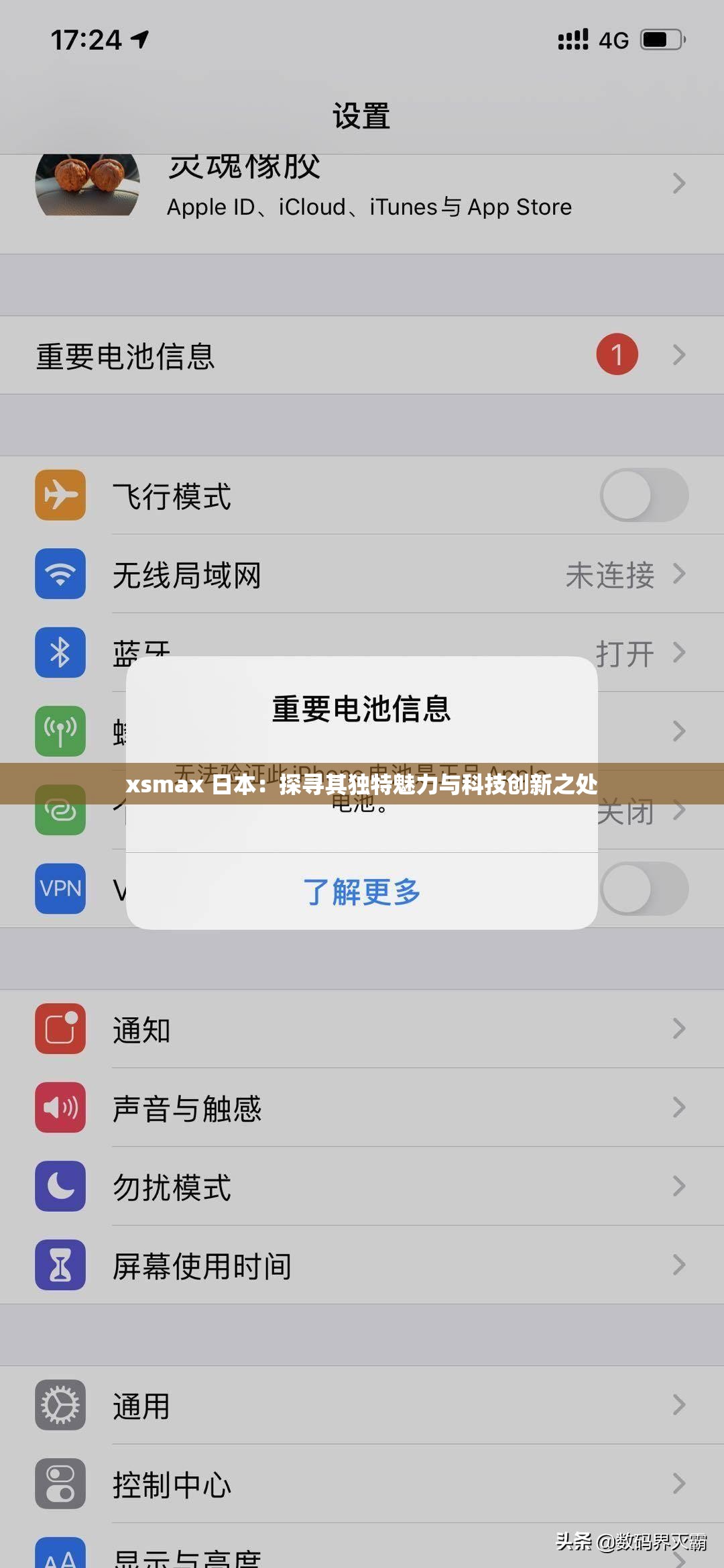 xsmax 日本：探寻其独特魅力与科技创新之处