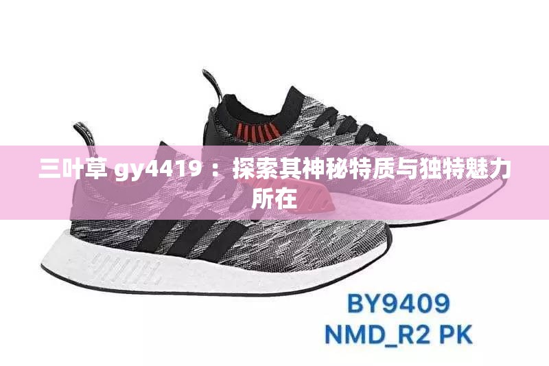 三叶草 gy4419 ：探索其神秘特质与独特魅力所在