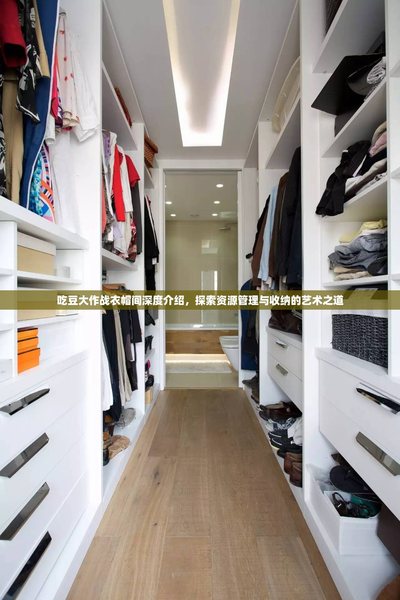 吃豆大作战衣帽间深度介绍，探索资源管理与收纳的艺术之道