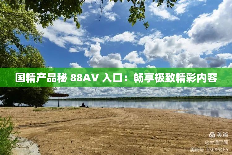 国精产品秘 88AV 入口：畅享极致精彩内容