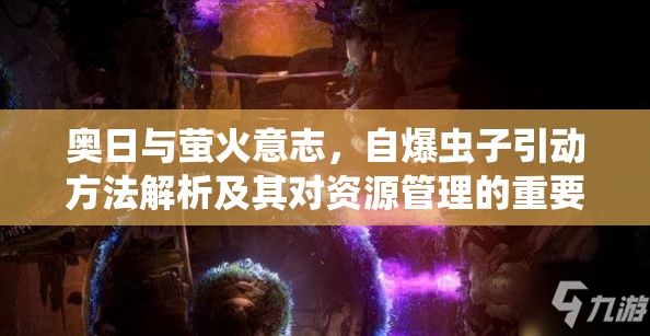 奥日与萤火意志，自爆虫子引动方法解析及其对资源管理的重要性与实战策略