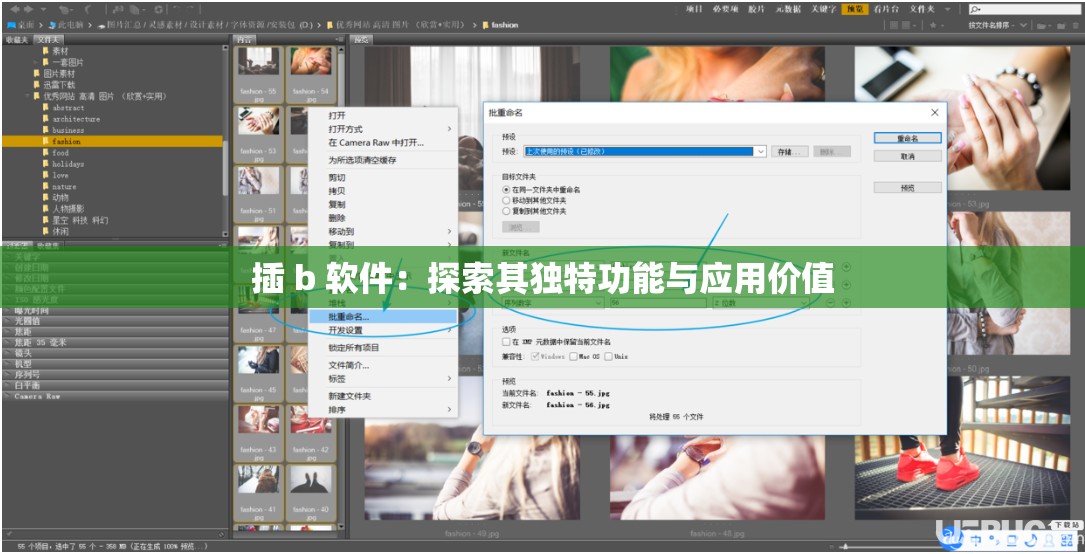 插 b 软件：探索其独特功能与应用价值