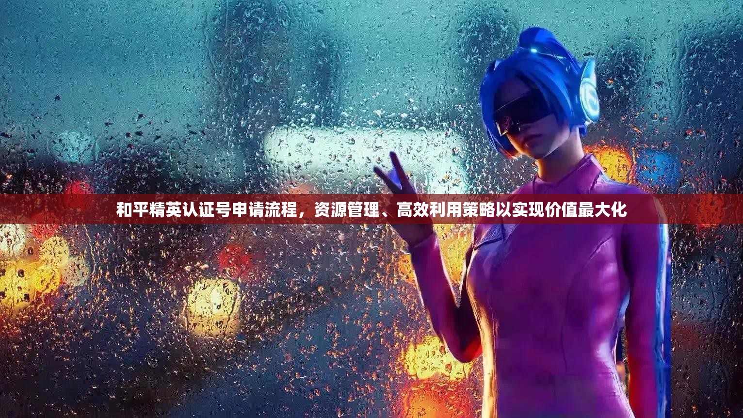 和平精英认证号申请流程，资源管理、高效利用策略以实现价值最大化