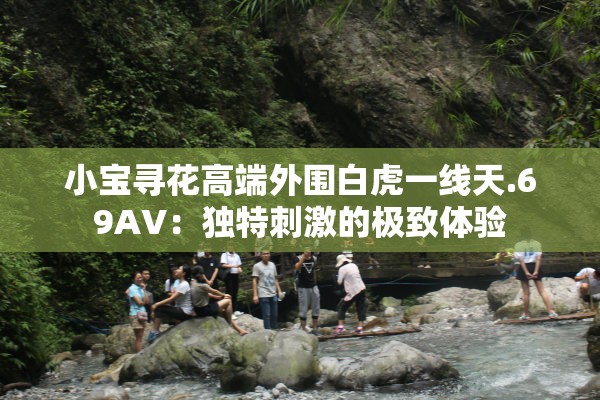 小宝寻花高端外围白虎一线天.69AV：独特刺激的极致体验