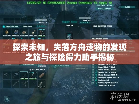 探索未知,失落方舟遗物的发现之旅与探险得力助手揭秘 探索未知,失落方舟遗物的发现之旅与探险得力助手揭秘