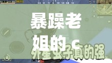 暴躁老姐的 csgo 最新版本-带你领略不一样的游戏世界