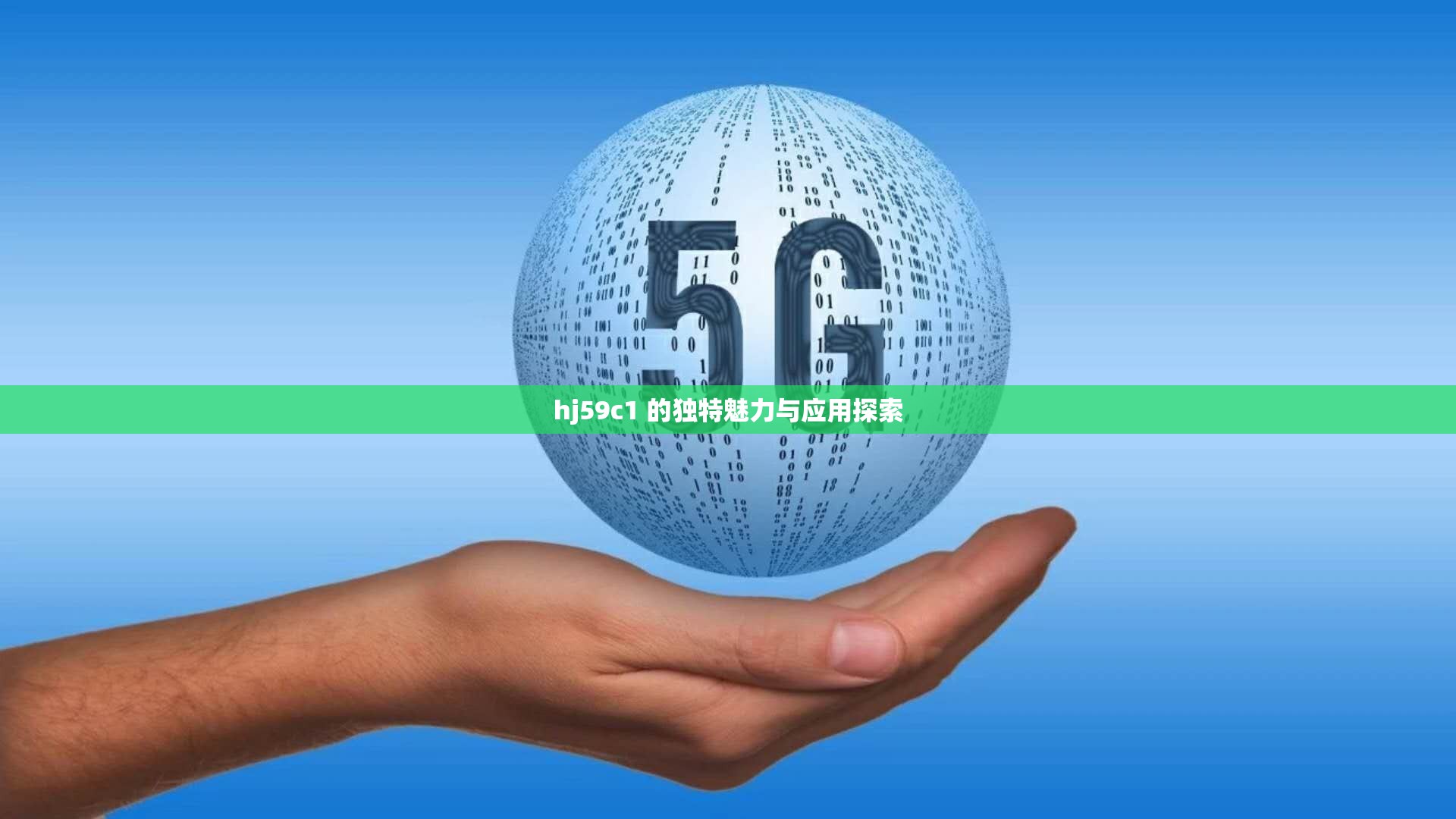 hj59c1 的独特魅力与应用探索
