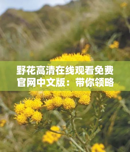 野花高清在线观看免费官网中文版：带你领略自然之美