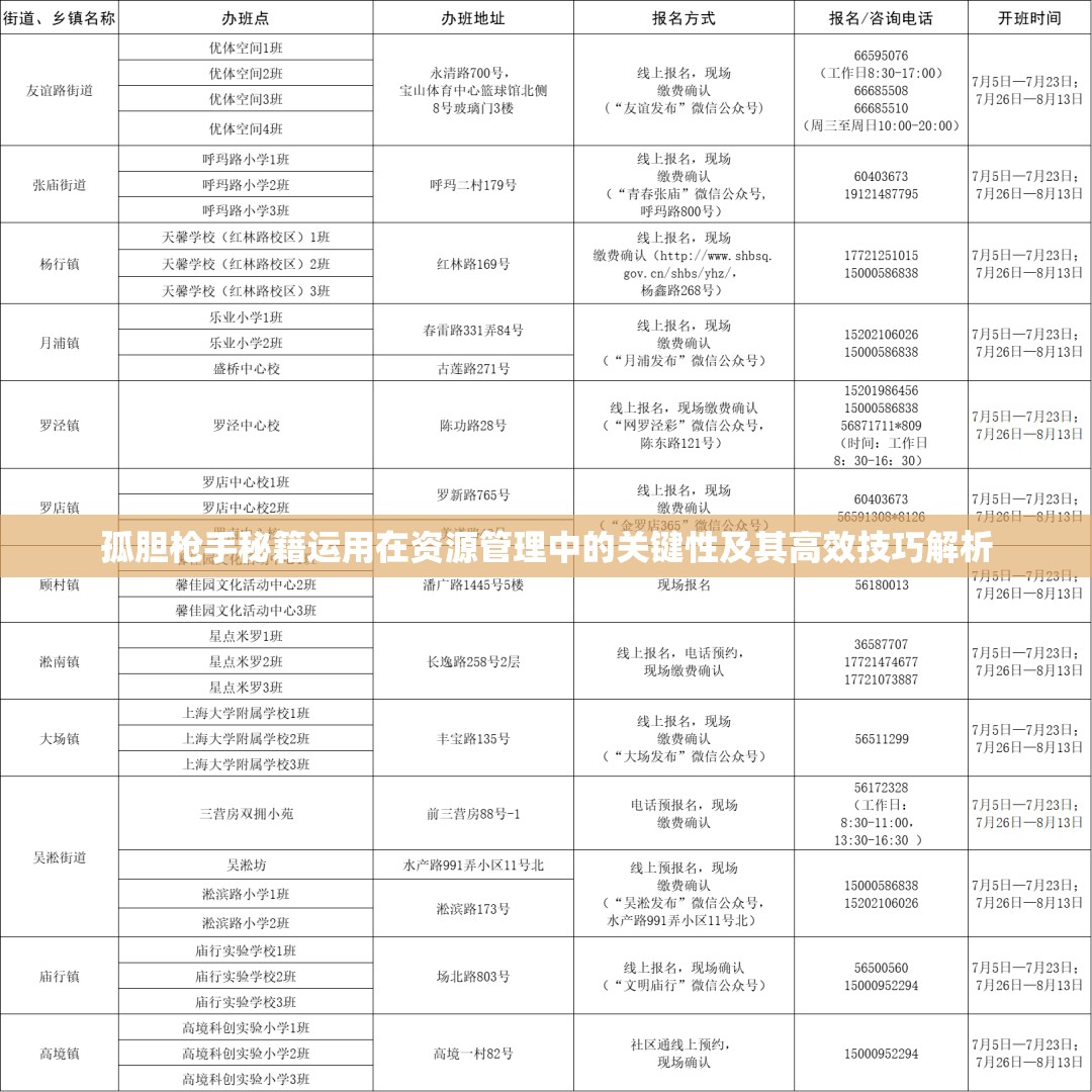 孤胆枪手秘籍运用在资源管理中的关键性及其高效技巧解析