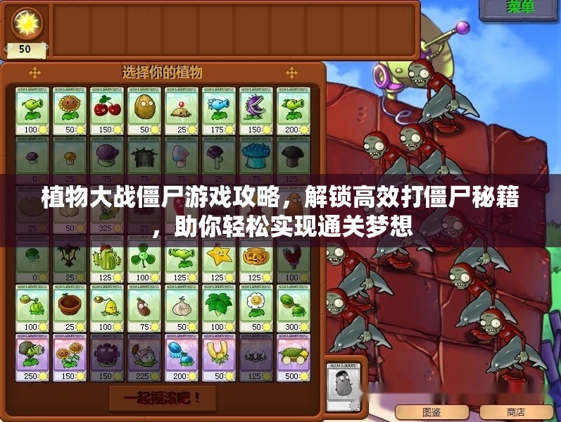 植物大战僵尸游戏攻略，解锁高效打僵尸秘籍，助你轻松实现通关梦想