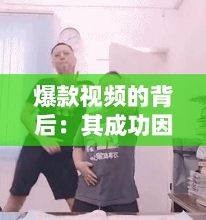 爆款视频的背后：其成功因素与创作团队的努力探究