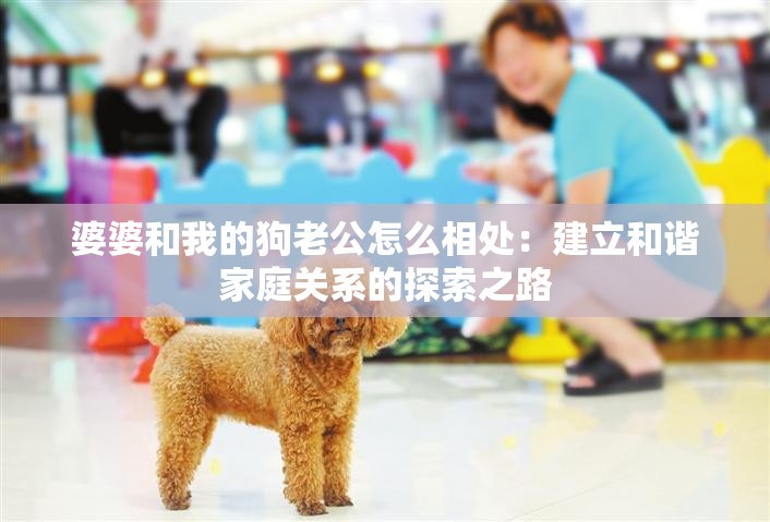 婆婆和我的狗老公怎么相处:建立和谐家庭关系的探索之路 婆婆和我的狗老公怎么相处:建立和谐家庭关系的探索之路