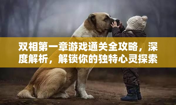 双相第一章游戏通关全攻略，深度解析，解锁你的独特心灵探索之旅