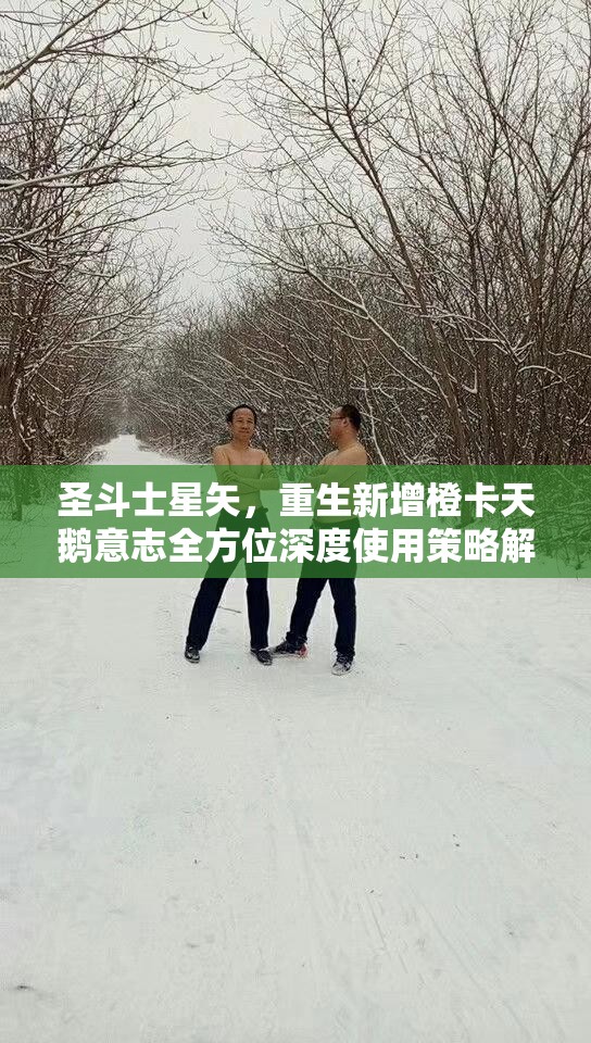 圣斗士星矢，重生新增橙卡天鹅意志全方位深度使用策略解析