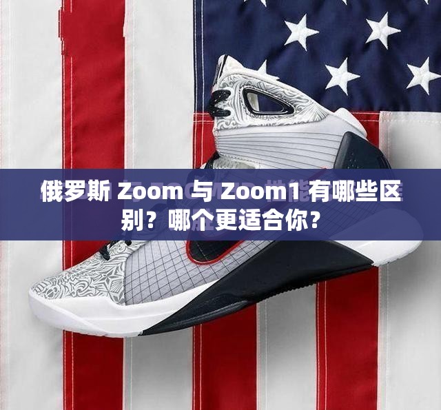 俄罗斯 Zoom 与 Zoom1 有哪些区别？哪个更适合你？